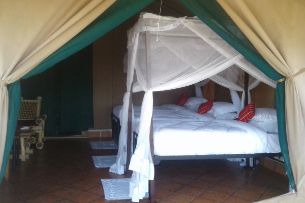 Hotel Zebra Kemang’ore Bush Tented Lodge (Mugumu)